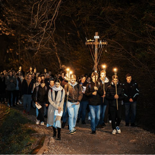 Screenshot 2026-02-19 at 15.52.44